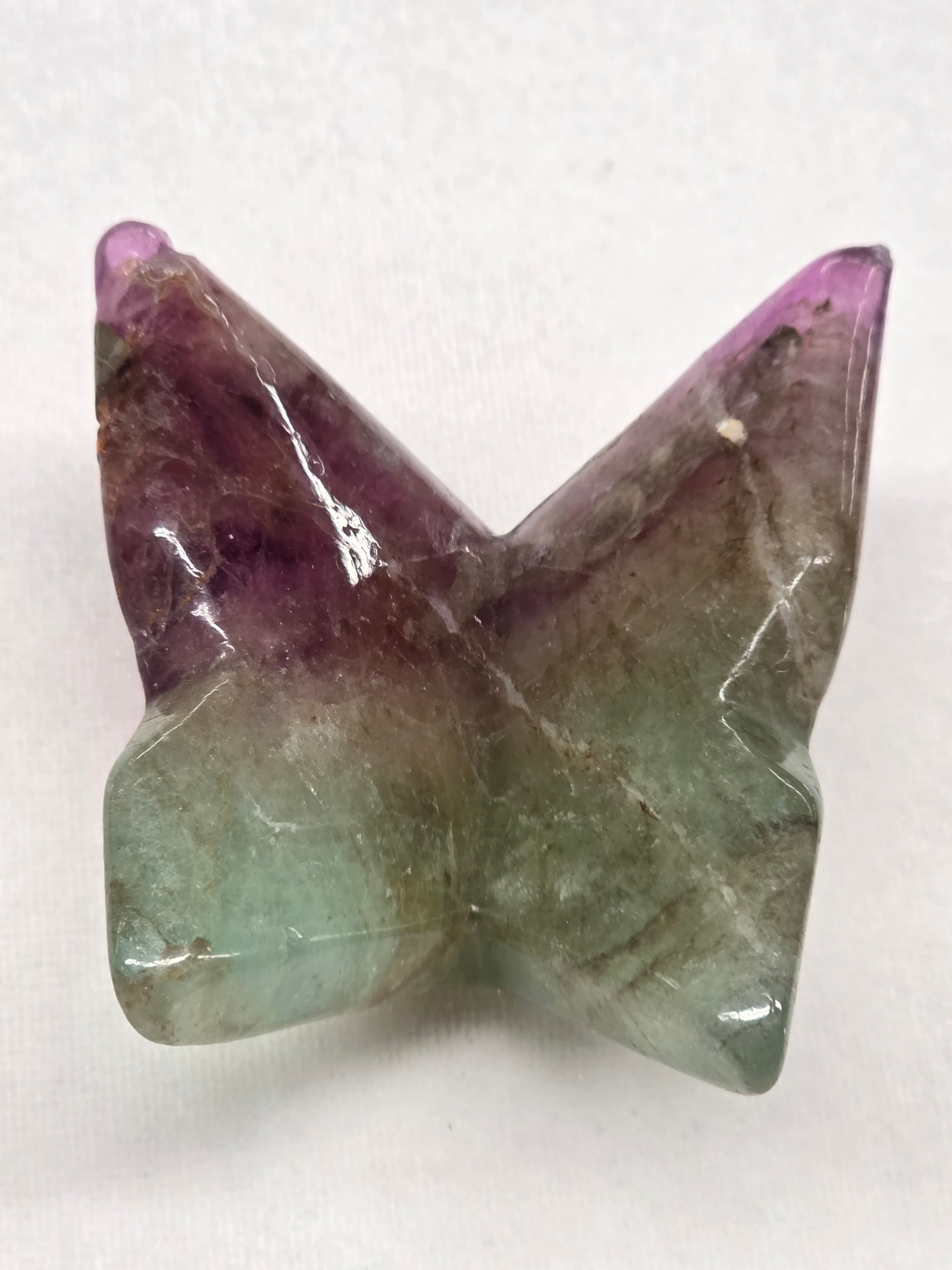 Large Fluorite Butterfly