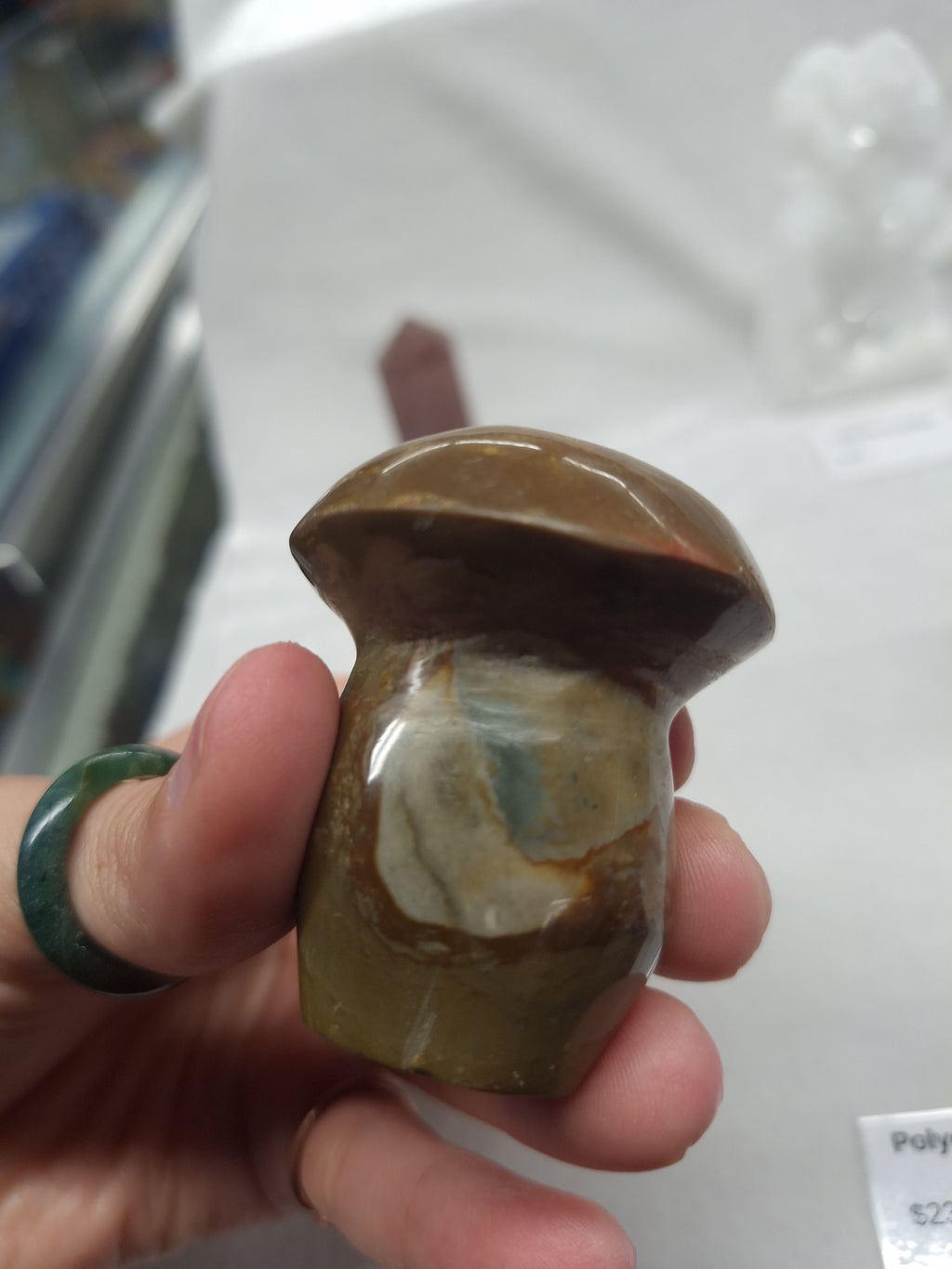 Polychrome Jasper Mushroom