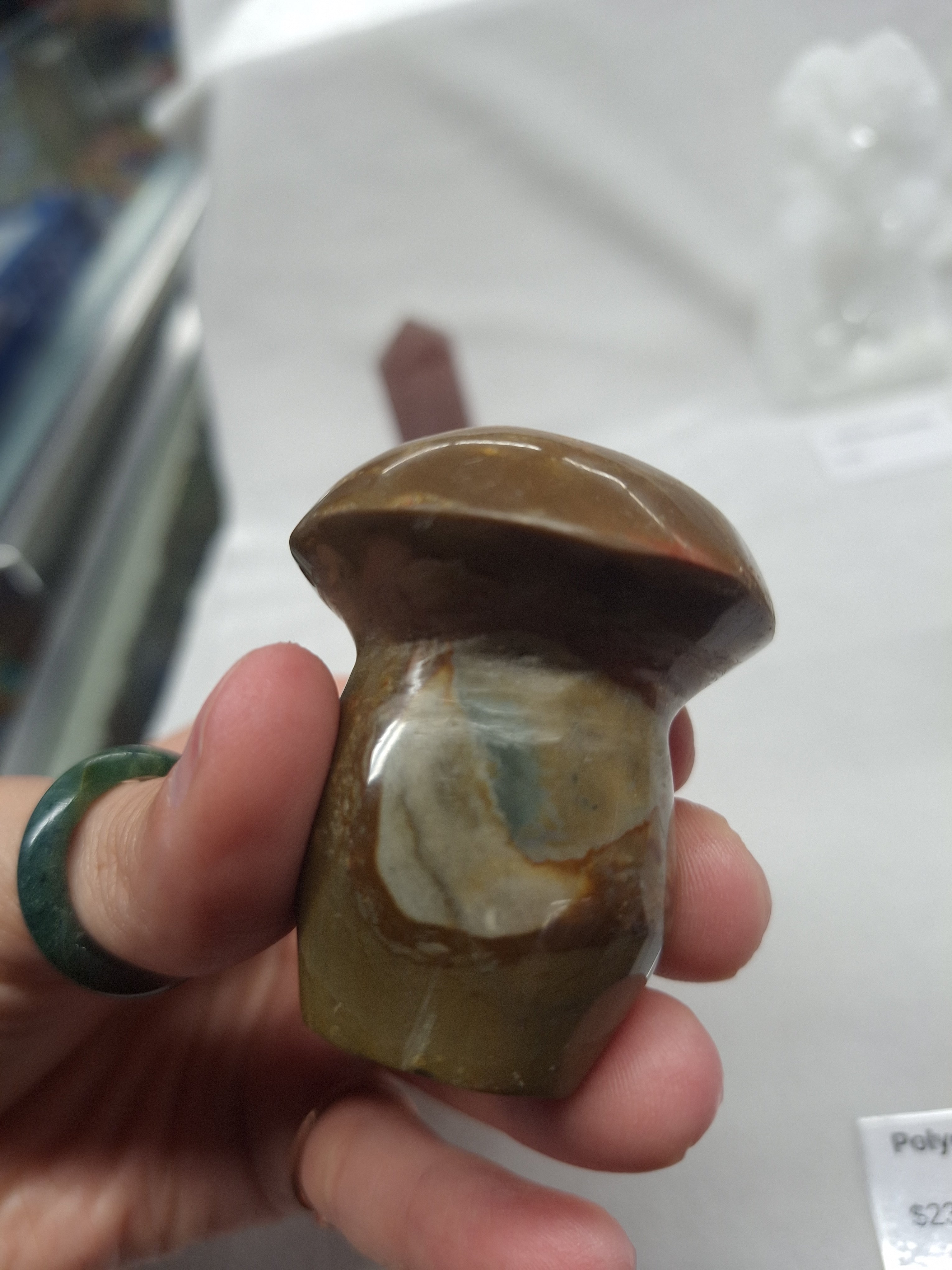 Polychrome Jasper Mushroom